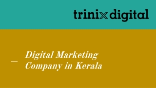 Digital Marketing Company in Kerala