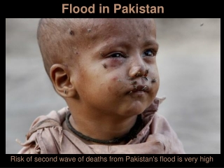 Flood in PaKistan 2010 (part 12)