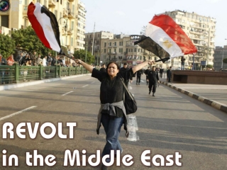 2011 Revolt in the Middle East 2011/01