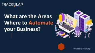 What are the Areas Where to Automate your Business