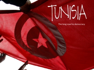 2011 TUNISIA - The long Road to Democraty