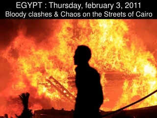 2011 EGYPT - Chaos - February 3, 2011