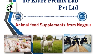 Animal feed Supplements from Nagpur
