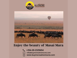 Where You Require to be and When to Witness the Wildebeest Migration