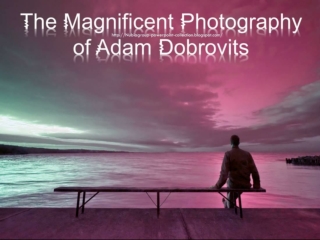 Magnificent Photography (AD)