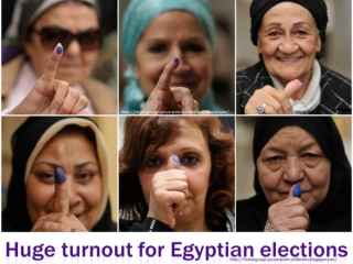 2011 EGYPT elections 2011-11