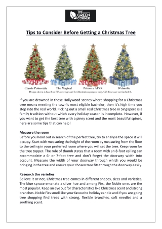 Tips to Consider Before Getting a Christmas Tree