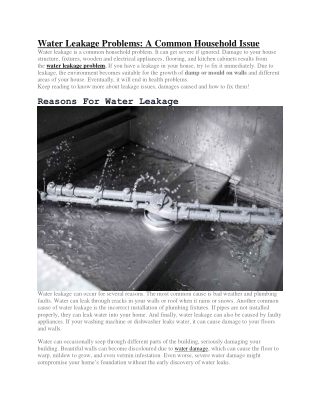 Water Leakage Problems A Common Household Issue