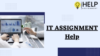 It Assignment Help