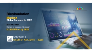 Biosimulation Market