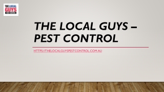 Pest Control Perth Northern Suburbs | Thelocalguyspestcontrol.com.au