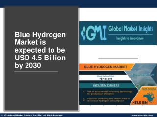 Blue Hydrogen Market Top Trends, Future Analysis & Forecast 2022-2030