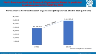 North American Contract Research Organization Market Outlook - Industry Statisti