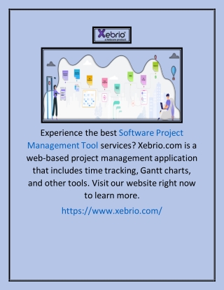 Software Project Management Tool | Xebrio.com