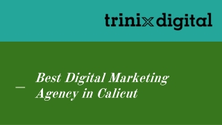 Best Digital Marketing Agency in Calicut