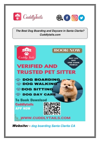 The Best Dog Boarding and Daycare in Santa Clarita ? Cuddlytails.com