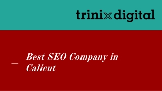 Best SEO Company in Calicut