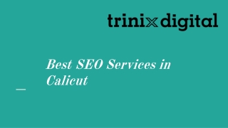 Best SEO Services in Calicut