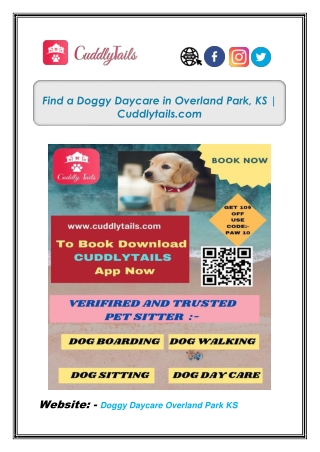 Find a Doggy Daycare in Overland Park, KS | Cuddlytails.com