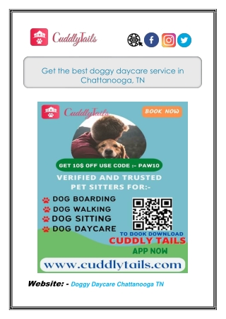 Get the best doggy daycare service in Chattanooga, TN