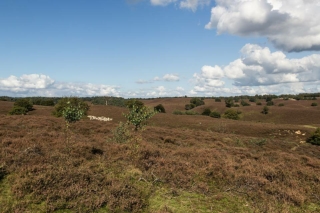 Campingplatz an der Veluwe