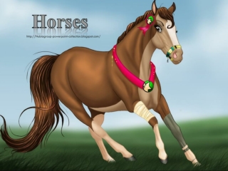 For Horses Lovers - Horses Wallpapers