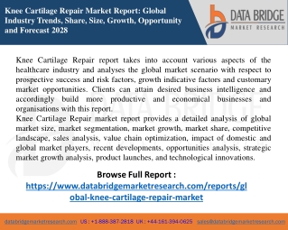 Knee Cartilage Repair Market