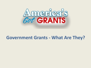 Government Grants - What Are They