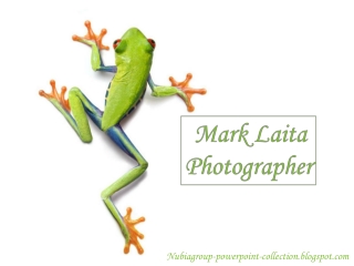 Mark L. Photographer