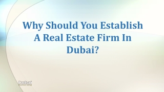 Why Should You Establish A Real Estate Firm in Dubai