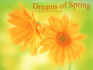 Dreams of Spring - Amazing Flowers - part 1