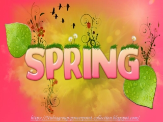 SPRING - vector