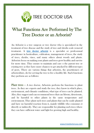 What Functions Are Performed by The Tree Doctor or an Arborist