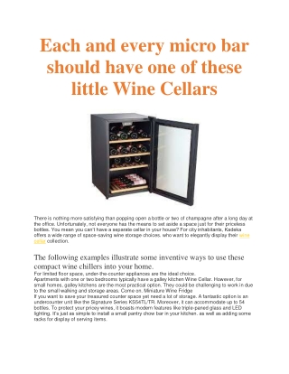 Each and every micro bar should have one of these little Wine Cellars