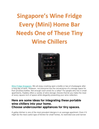 Singapore’s Wine Fridge Every (Mini) Home Bar Needs One of These Tiny Wine Chillers