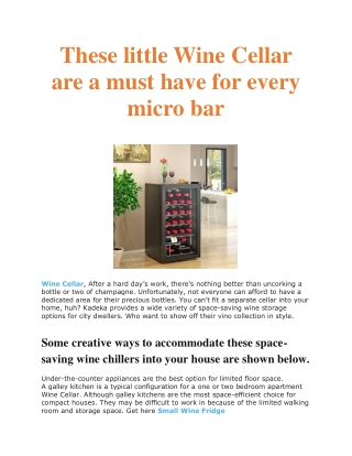 These little Wine Cellar are a must have for every micro bar