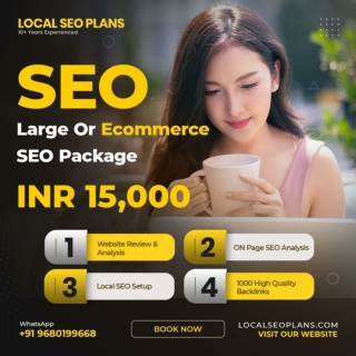 Large or Ecommerce SEO Package - LOCALSEOPLANS.COM