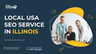 LOCAL USA SEO SERVICE IN ILLINOIS