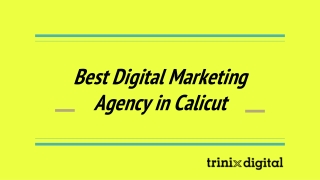 Best Digital Marketing Agency in Calicut