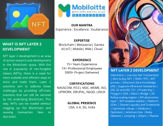 NFT Layer 2 Development