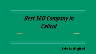 Best SEO Company in Calicut