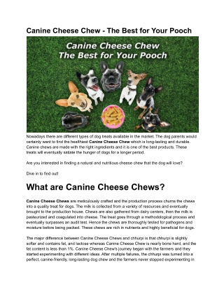 Canine Cheese Chew - The Best for Your Pooch