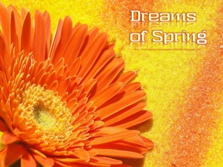 Dreams of Spring - Amazing Flowers - part 3