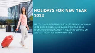 Holidays for New Year 2023