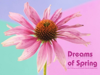 Dreams of Spring - Amazing Flowers - part 2