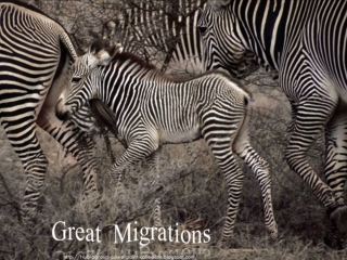 Great Migrations