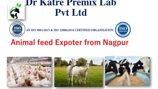 Animal feed Exporter from Nagpur
