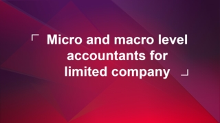 Micro and macro level accountants for limited company