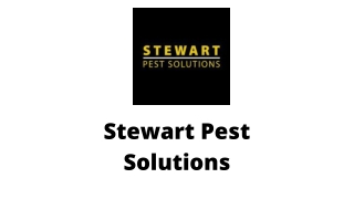 Cockroach Removal Services