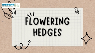Flowering Hedges By Instant Hedge